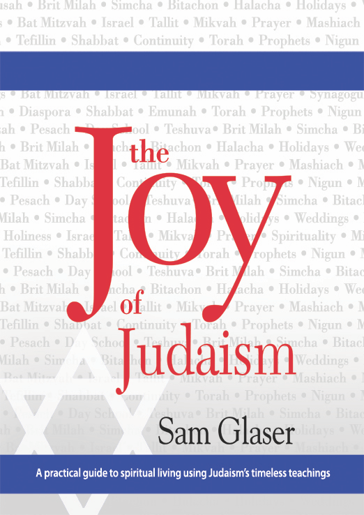 Front Cover of Joy of Judaism